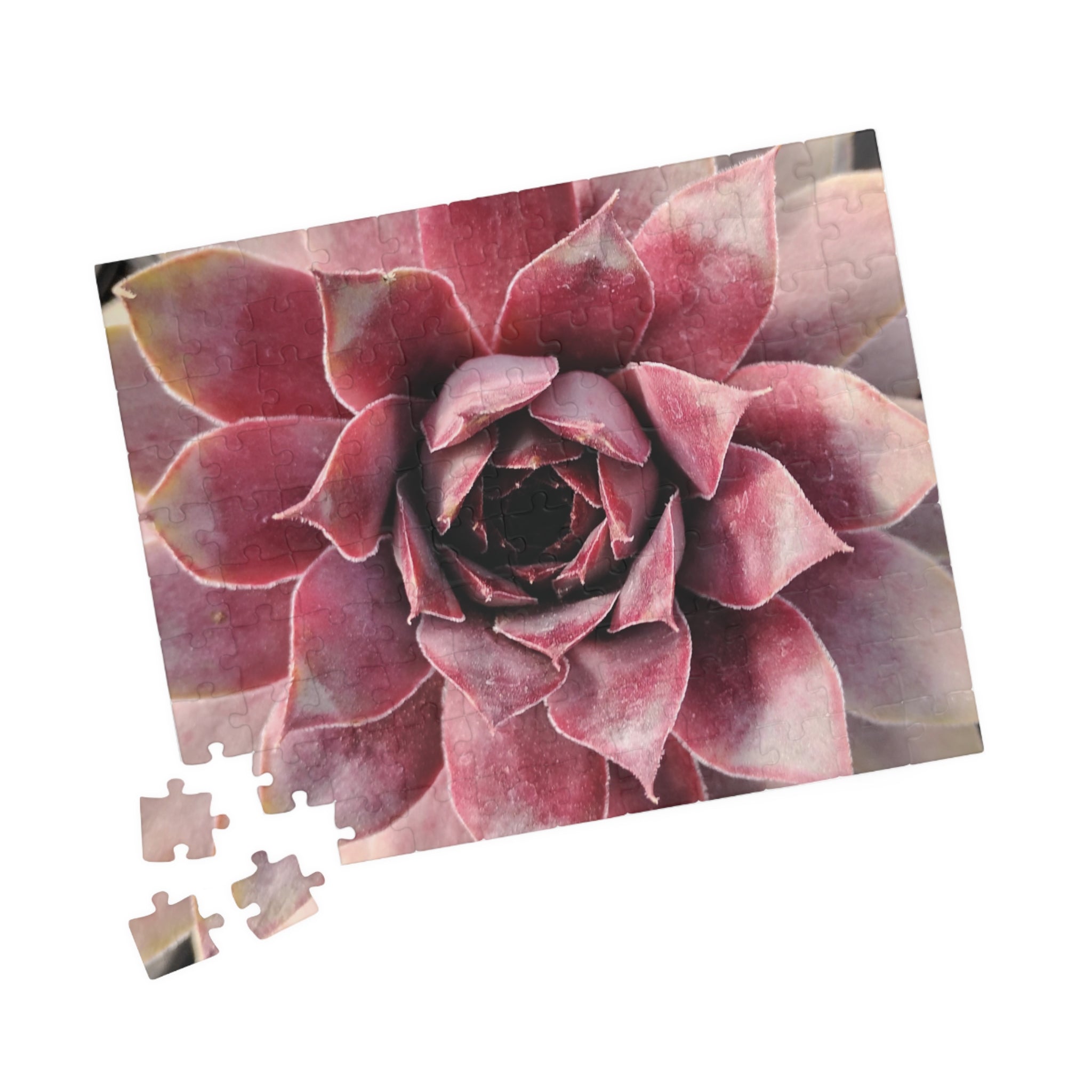 Succulent Close-Up Jigsaw Puzzle — Floral Photo Puzzle (110 pieces)