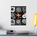 Motivational Butterfly Collage Poster — "You Fall, Then You Fly Again" Matte Vertical Poster