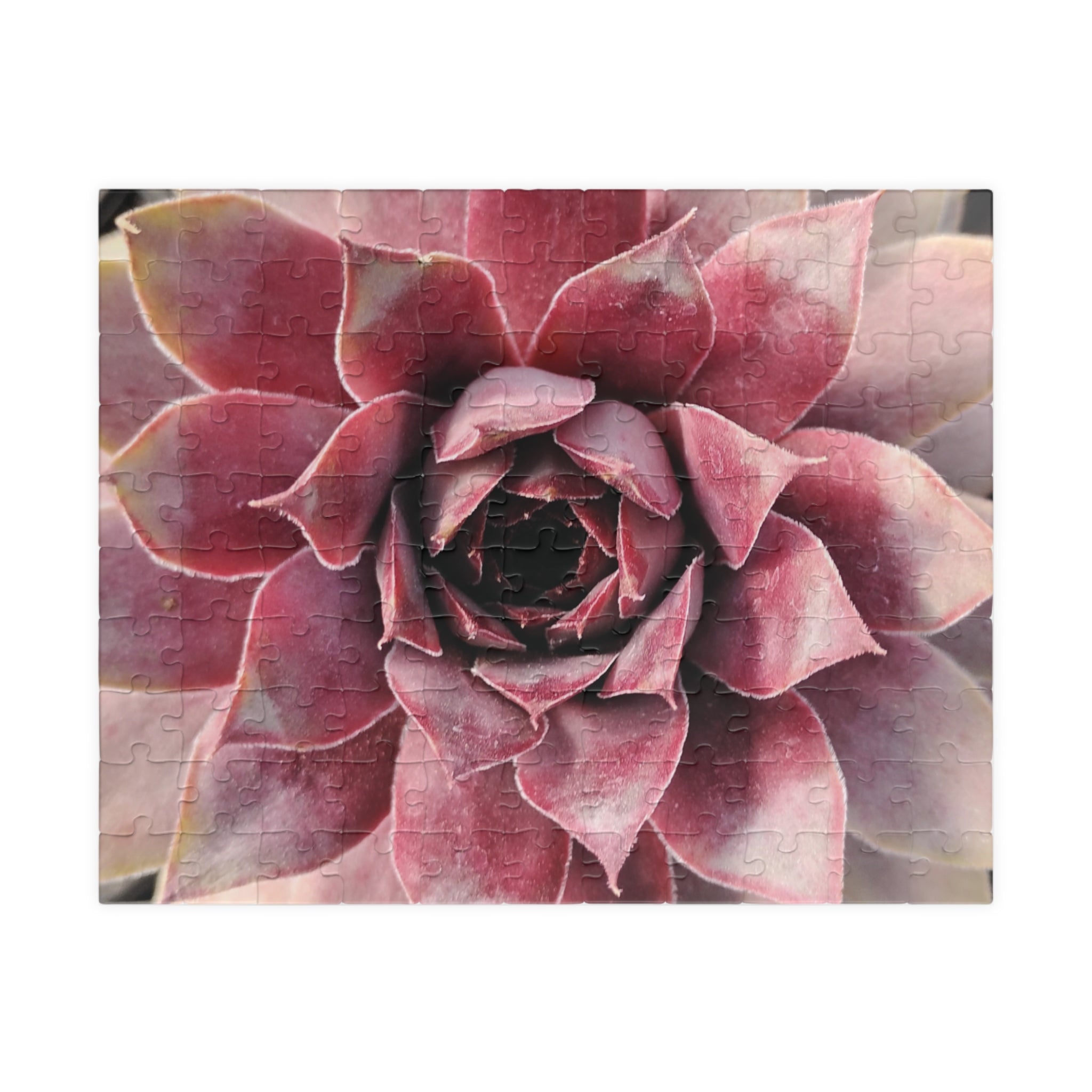 Succulent Close-Up Jigsaw Puzzle — Floral Photo Puzzle (110 pieces)
