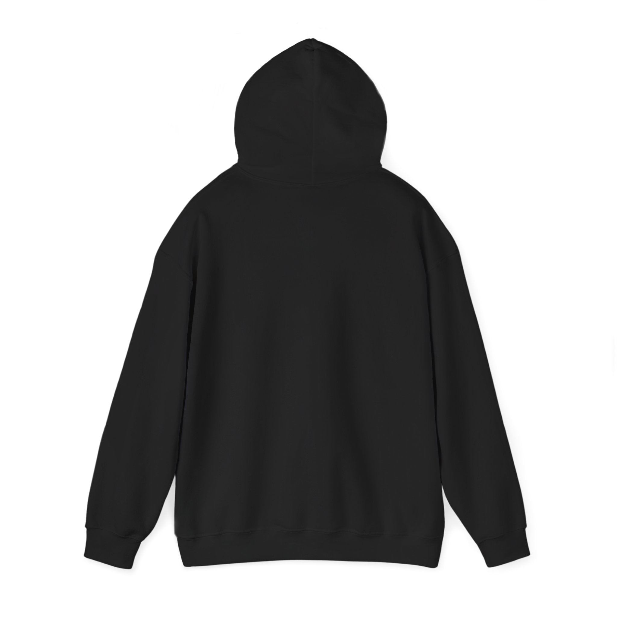 Recovery 2026 Hoodie — "I Am In Long-Term Recovery" Sober Support Pullover